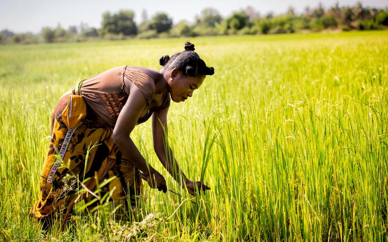 woman farmer