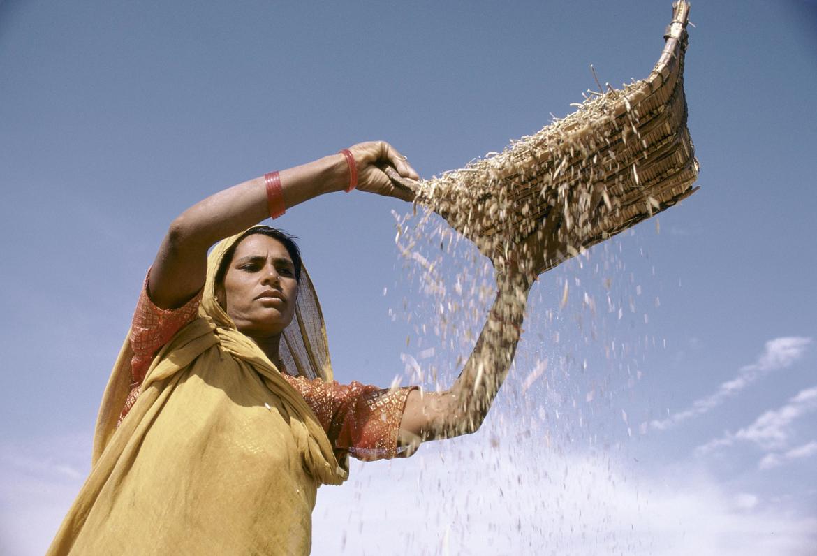 Sifting grain