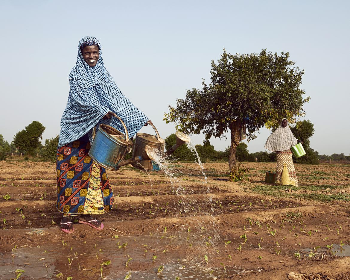 Political Will Needed to Drive Africa's Agricultural Transformation, Debate Hears