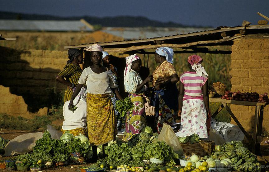 Gender Agenda: Our collaboration with Regions and the IFC Women’s Insurance Program