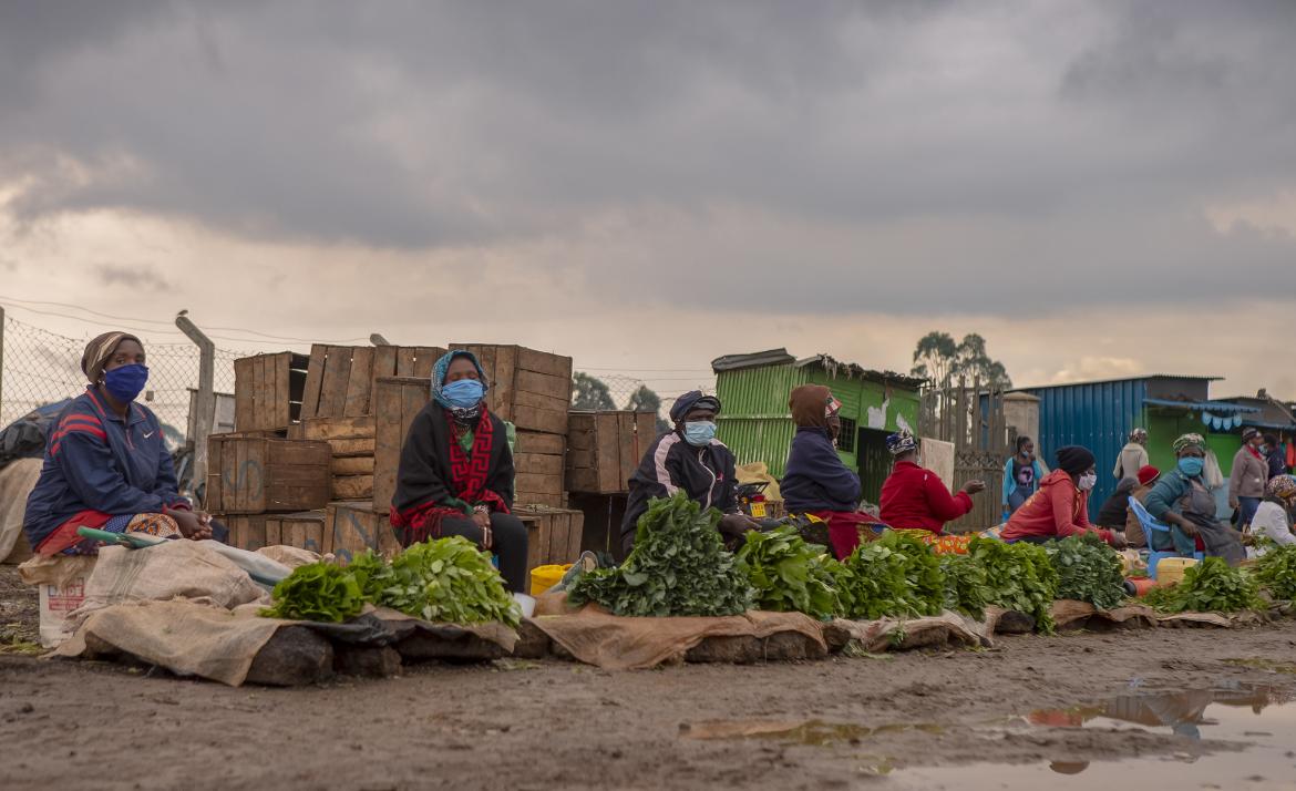 Smallholder Families in COVID-19: Distinct Segments, Different Impact 