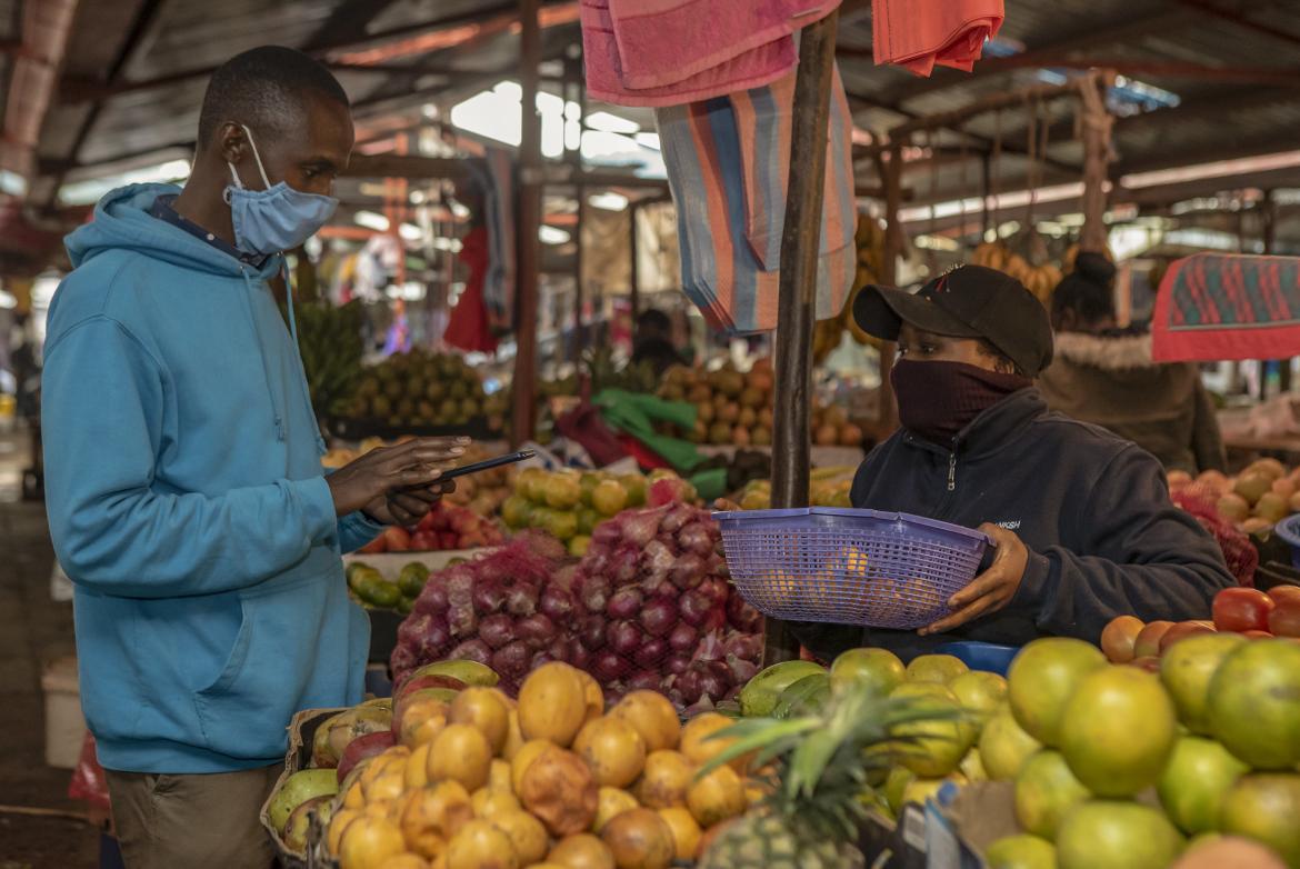 Empowering Youth in Africa to Build Next Gen Agriculture Systems