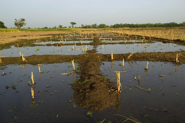 Climate Corporation Builds Massive Data Platform for Agriculture in the US