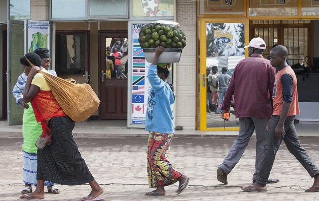 African Insurance Organization Conference Makes Case for Agriculture Insurance