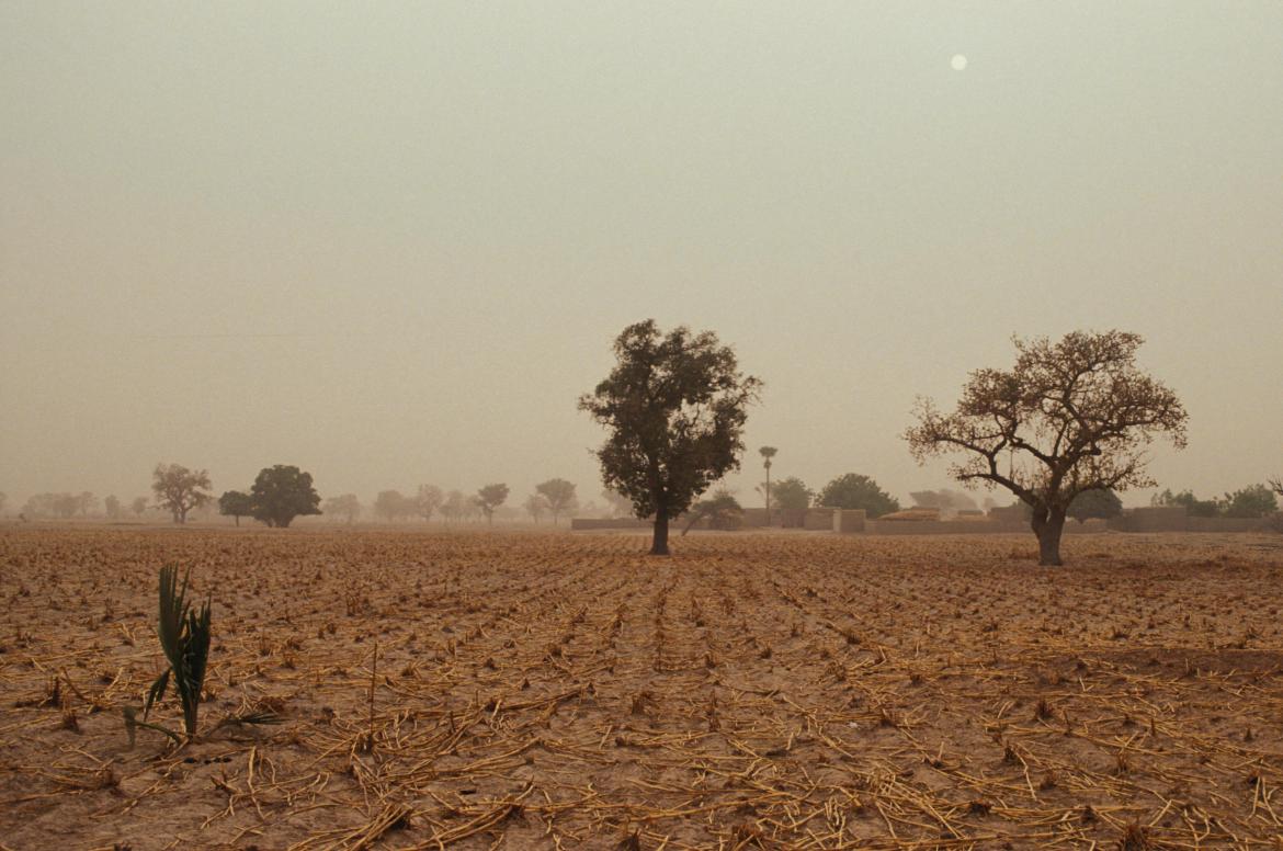 Côte d’Ivoire Project with AXA and Atlantique Assurances