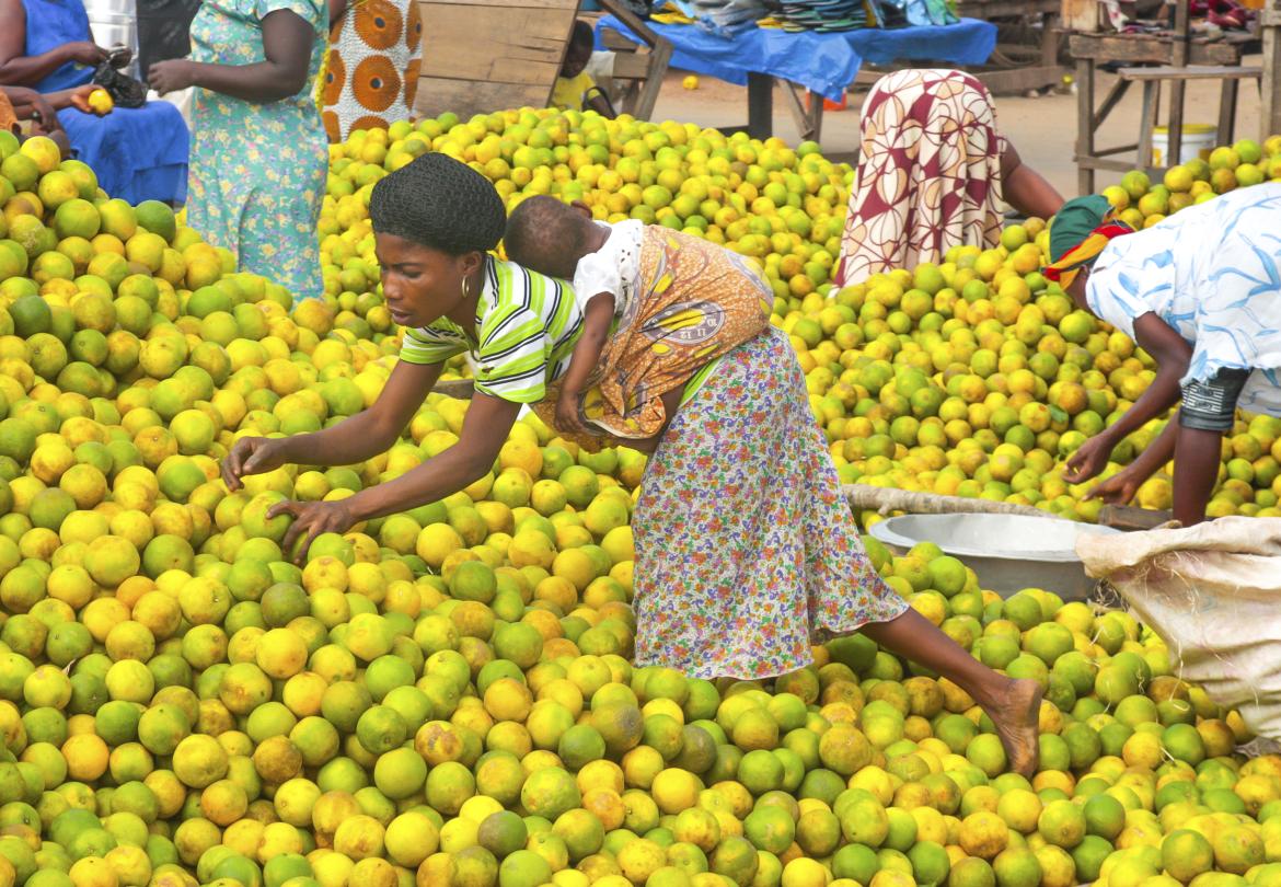 World Bank Group Approves Additional Funds for Zambia to Strengthen Climate Resilience