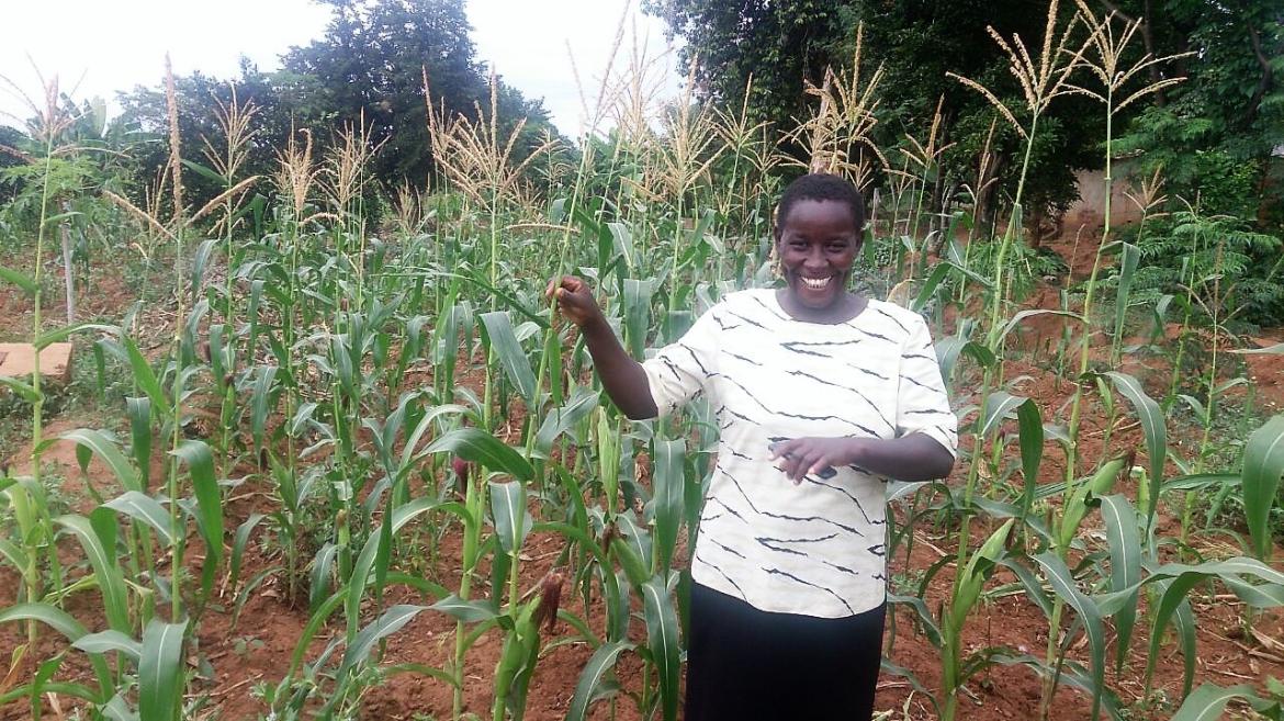 Index Insurance: Helping Women Farmers around the World