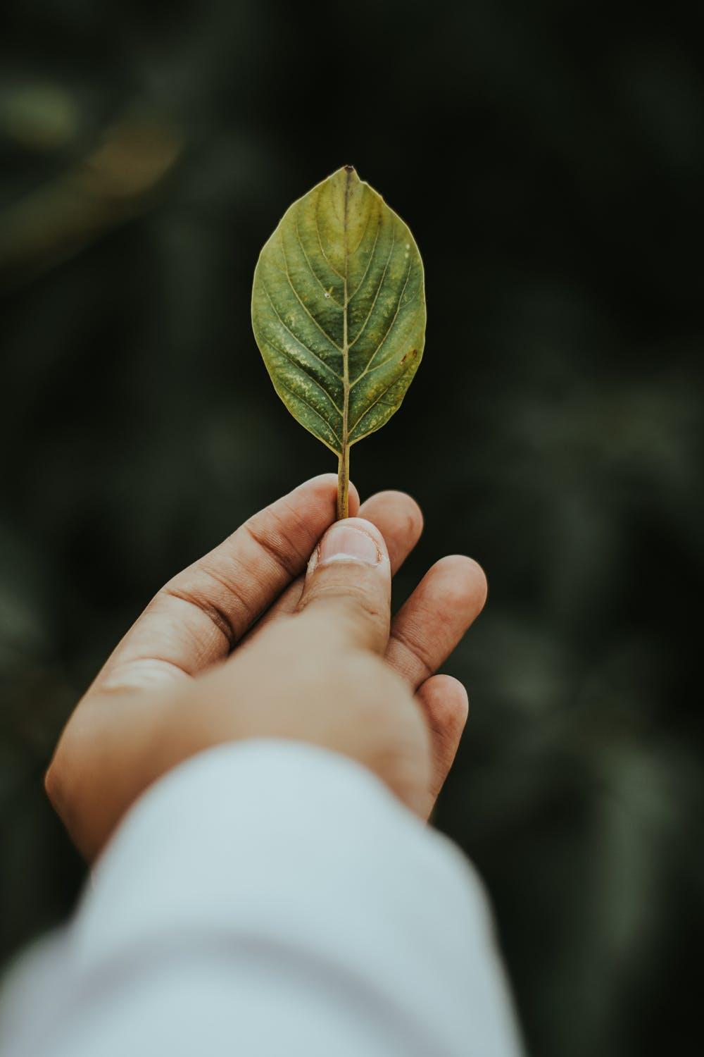 Agriculture Insuretech Innovation Challenge and Forum