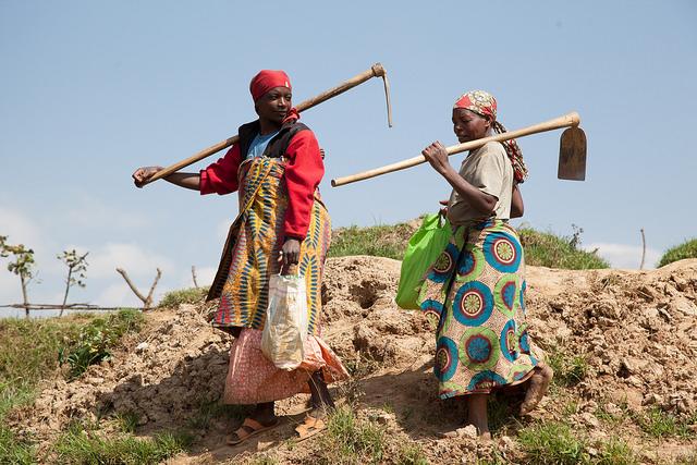 A New Risk Sharing Facility to Lower Premiums for Africa's Farmers