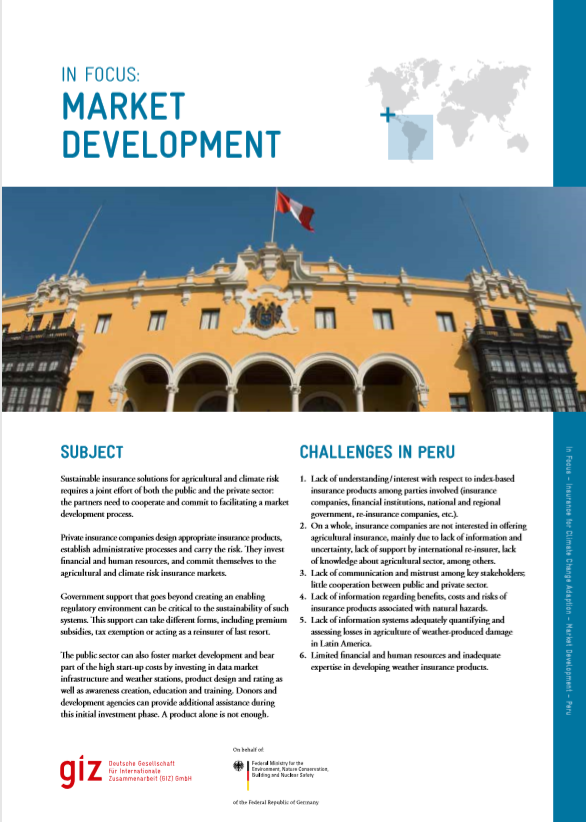 Peru: Market Development