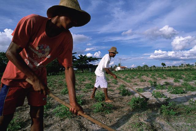 Climate-linked Insurance a Boon for Poor Farmers