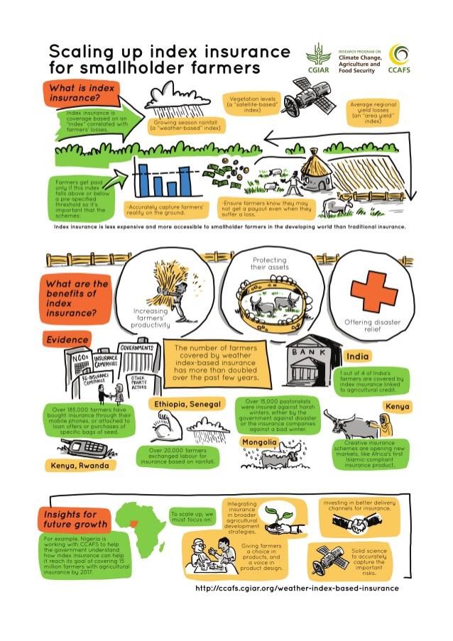 Infographic on Index Insurance