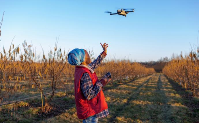 The Role of Insurance in Advancing Financial Solutions for Sustainable Agriculture and Food Security in Africa